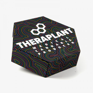 Custom Printed Hexagon Shaped Box 